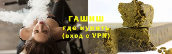 индика Аркадак
